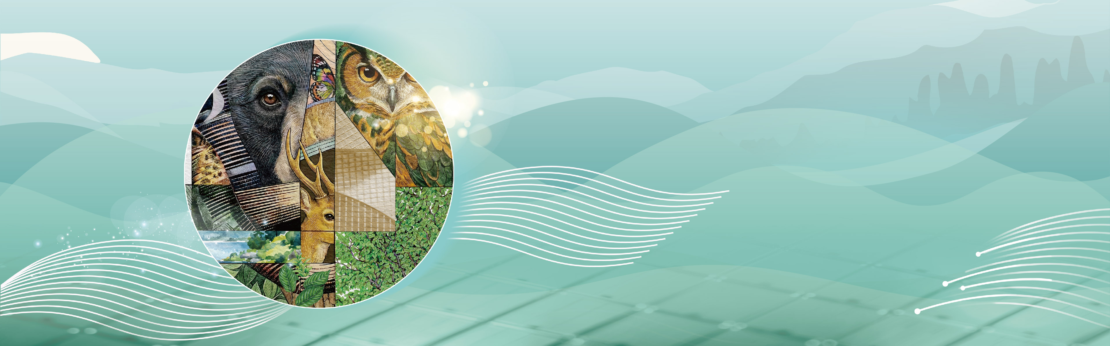 传承百年核心生态老树